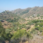 Rancho Doma Natural Montes de Málaga en Alhaurín de la Torre