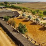 Escuela Hipica la Ponderosa en Carmona