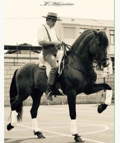 Hípica Cuadras El Medano ( Centro hípico, Horse riding, Reitausflüge) en El Médano