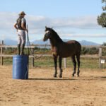 Escuela del Caballo en Tonyá