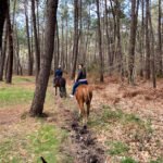 Aventuras a caballo en Lamuño