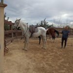 Finca La Constancia en Murcia