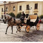 COCHES DE CABALLOS SEVILLA IVAN en Sevilla