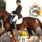 Centro Hípico El Bosque | Clases de Equitación Sevilla en La Puebla del Río