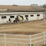 Centro Hípico Doble M en San Juan de Aznalfarache