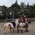 Hípica La Plaza Forum en Villanueva de la Cañada