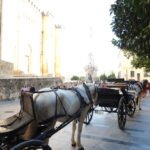 COCHES DE CABALLOS DE CÓRDOBA en Córdoba