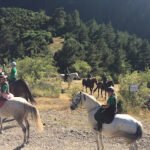 Hípica Els Torrents en Bellver de Cerdanya