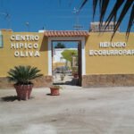 Centro Hípico Oliva Nova en Oliva