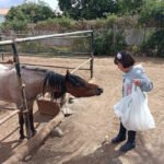 Pony Park Laguna en La Laguna