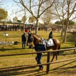 Circuit Hípic Torre d'en Dolça en Vila-seca