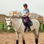 Escuela Equitación MQ Dressage en Manacor