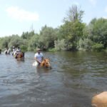 Los Caballos de la Ribera en Huerta