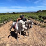 Mallorca Horses en Algaida