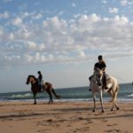 Cortijo Mangueta.The Best Beachrides. Rutas a caballo playa El palmar. Strandritte en El Palmar de Vejer