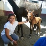 Centro Equinoterapia Mi Segunda Escuela en Málaga