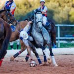 Club Horseball Banyoles en Banyoles