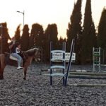 Escuela de Equitacion Ponyclub Granada en Granada