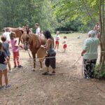 Caballos de Ailanes en Ailanes