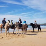 Rutas a Caballo en Cádiz y Andalucía TrekAndalus en Los Barrios