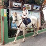 Mamio Verde rutas a caballo (horse riding) en La Orotava