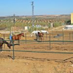 Hípica Toledo a Caballo en Guadamur