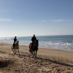 Hípica La Patiña en Chiclana de la Frontera