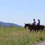 Horse Riding en Madrid