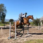 Sport Horses LC en Buscarrons