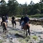 Camino de Santiago a Caballo en Caritel