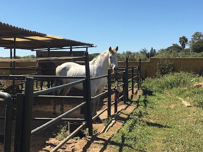 Yeguada La Patiña en Chiclana de la Frontera