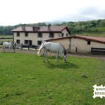 Hipica Los Nabarones en San Pelayo