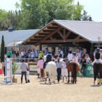 Club Hípico Antequera - Los Quintos en Antequera