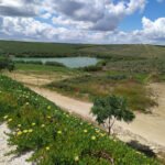 Centro Hípico La Herradura S. L. en Palma del Río