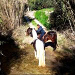 Finca Rumba y galán Anak Mas en Polop