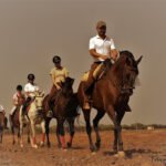 Hipica Mendoza en Chiclana de la Frontera