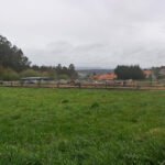 Haras de Compostela en Texexe