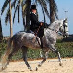 Laura Sánchez.Equitación en silla de cornetas en Albacete