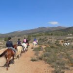 Horse Riding Tenerife - Paseos a Caballo Tenerife en Arona