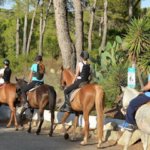 Rancho La Romana en Peguera