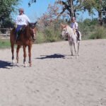 Hípica las eras en Cortijo de San Isidro