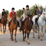 Alcantara Ecuestre en Jerez de la Frontera